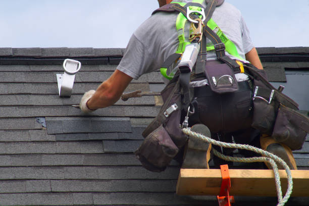 Best Chimney Flashing Repair  in Ashton, ID
