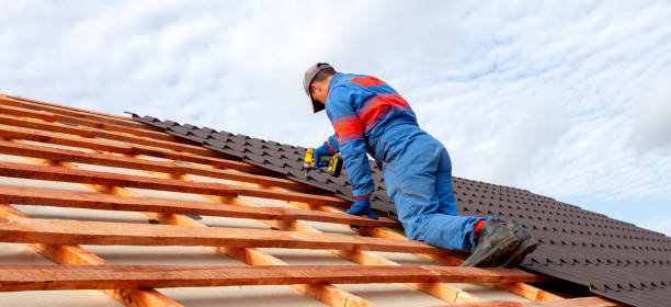 Best Asphalt Shingle Roofing  in Ashton, ID