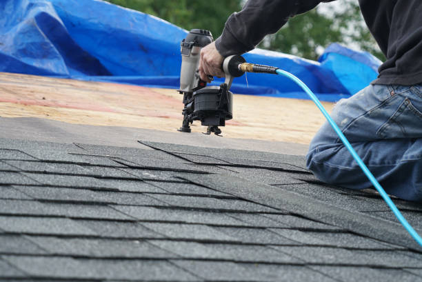 Best Roof Insulation Installation  in Ashton, ID