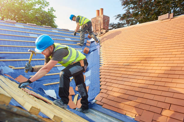 Best Sheet Metal Roofing  in Ashton, ID